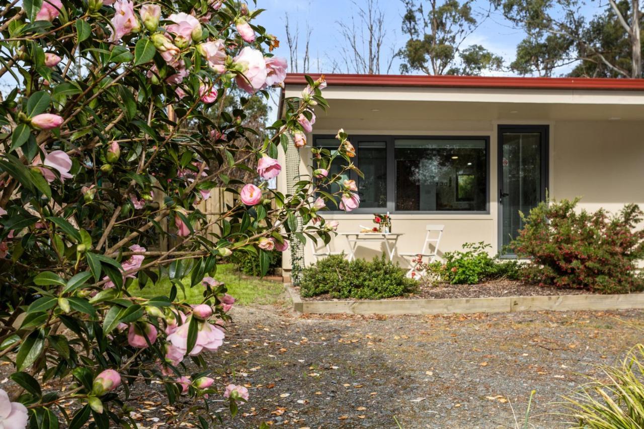 Lilydale Karoola Cottage Self Contained מראה חיצוני תמונה